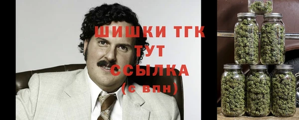 метадон Богданович