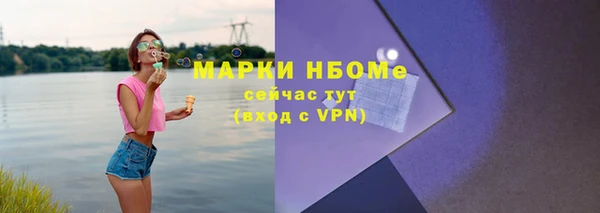 метадон Богданович