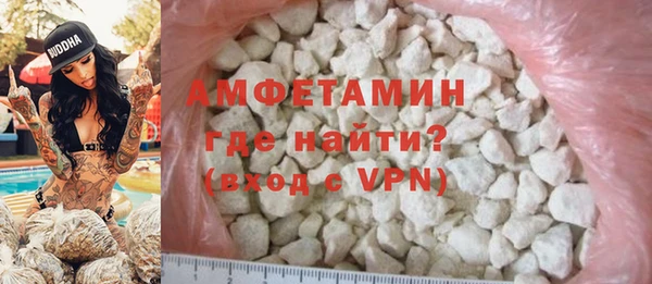 метадон Богданович
