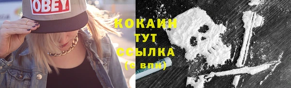 дживик Струнино
