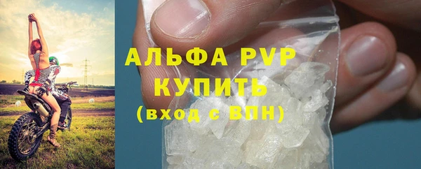 шишки Бородино