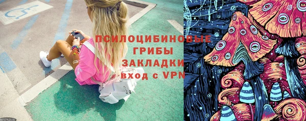 метадон Богданович