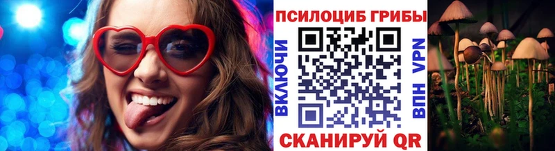 наркота  Нерюнгри  Галлюциногенные грибы мухоморы 