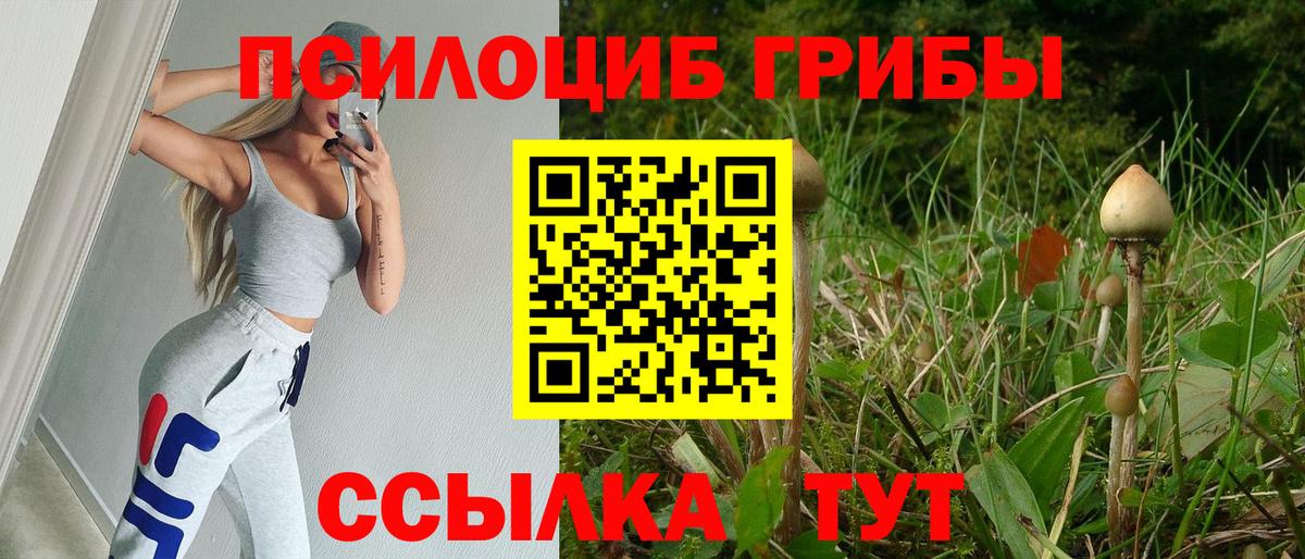 Псилоцибиновые грибы GOLDEN TEACHER Нерюнгри