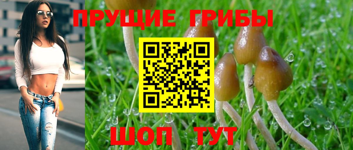 Псилоцибиновые грибы ЛСД  Галлюциногенные грибы GOLDEN TEACHER  Вход с VPN  Нерюнгри 